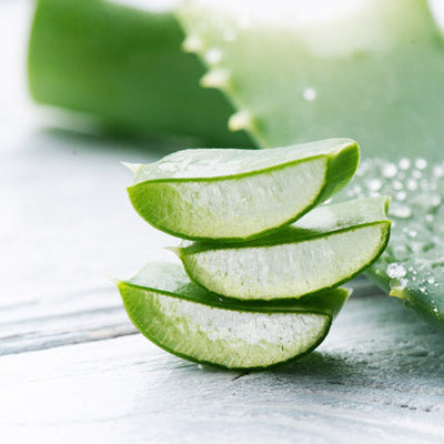 Hautpflege / Kosmetik