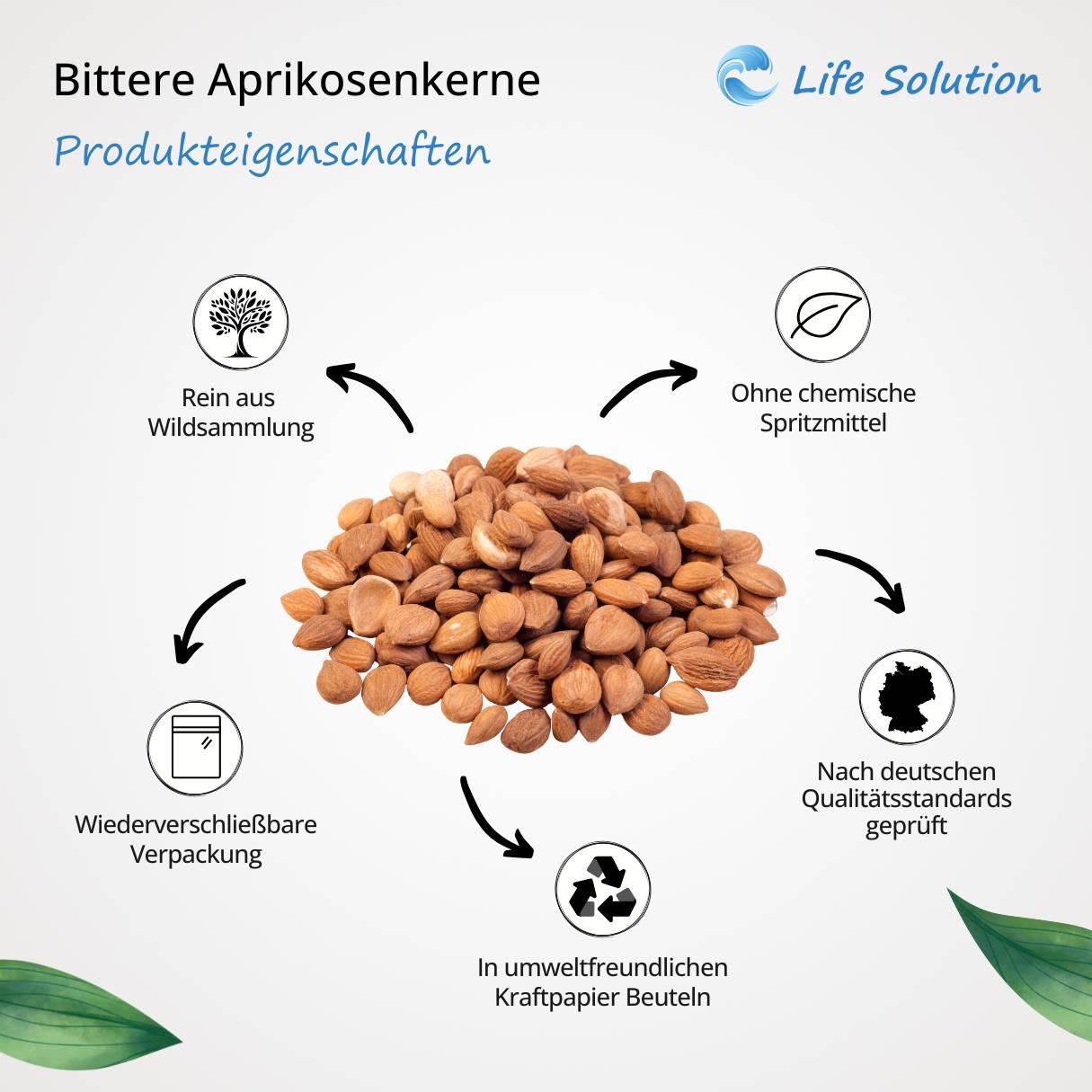 Bittere Aprikosenkerne aus Wildsammlung