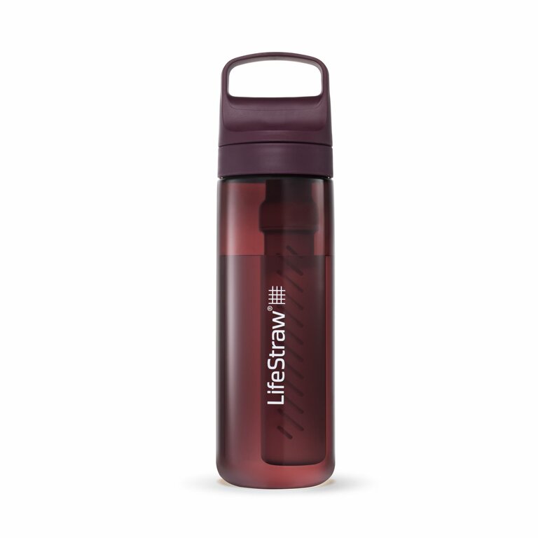 LifeStraw Go Filterflasche - 650 ml - Outdoor Wasserfilter Flasche - 2 Stage