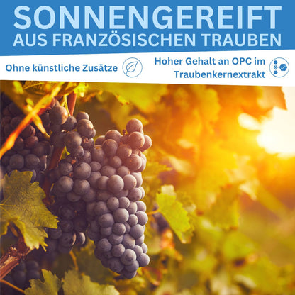 Gélules OPC - 120 unités de 450mg d'OPC chacune - Extrait de pépins de raisin 100% naturel