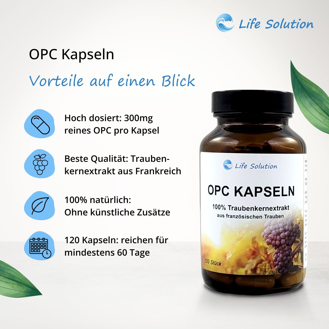 OPC Kapseln - 120 Stück - 100% natürliches Traubenkernextrakt