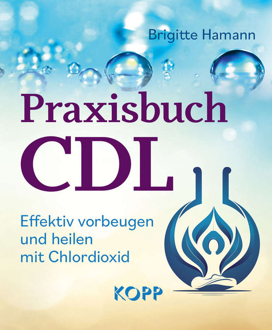 Buch: Praxisbuch CDL - Brigitte Hamann
