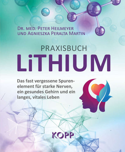 Buch: Praxisbuch Lithium - Dr. Med. Peter Heilmeyer